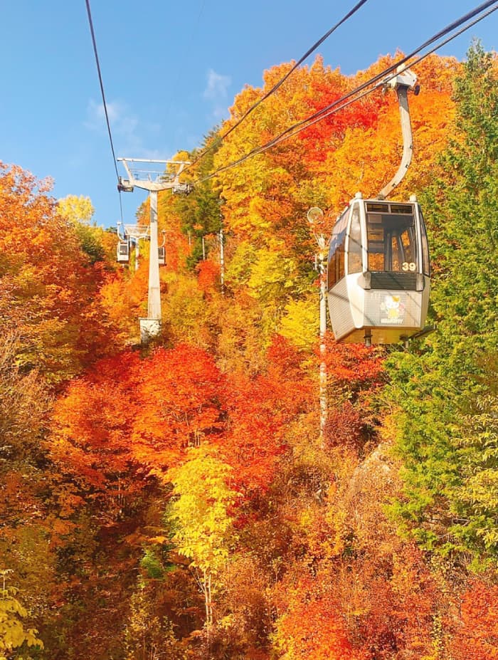 ヘブンスそのはらの紅葉（10-11月／イメージ）