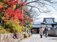 越前大野城下町