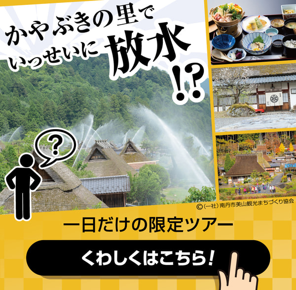 限定ツアーはこちらから！