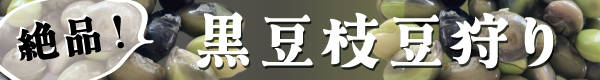 リピート率No.1！絶品の黒豆枝豆狩り