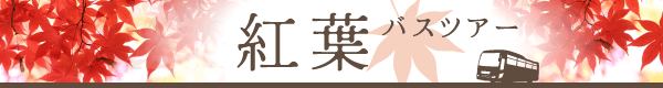 バスでらくらくお出かけ!紅葉ツアー特集