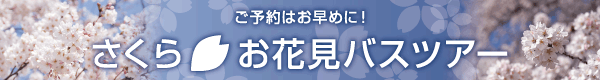 さくらお花見バスツアー特集