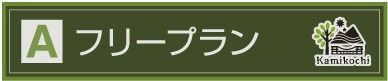 Ａ：フリープランのご案内