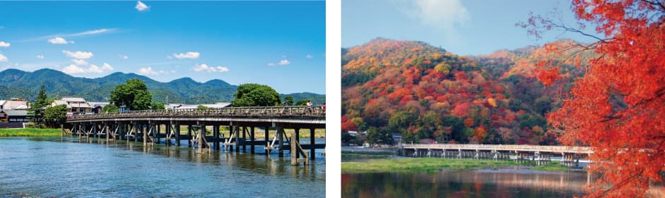 秋の出発日も発売開始 京都イチオシツアー 嵯峨野トロッコ列車 カッコーパルック