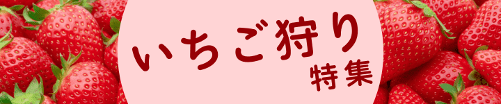 いちご狩り特集ヘッダー