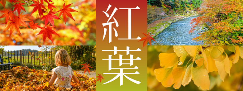 【2024年版】紅葉で秋を満喫！