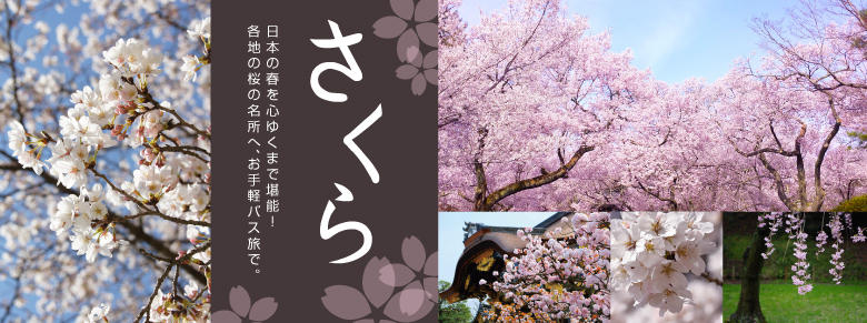 バスでお手軽に季節の花々を堪能！さくら・お花見2025