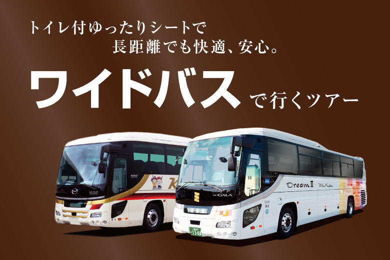 トイレ 付き バス 旅行 埼玉 発