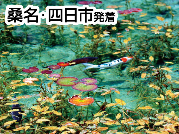 長良川鉄道・食品サンプル列車(2026)