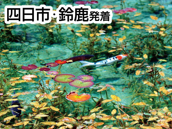 長良川鉄道・食品サンプル列車(2026)
