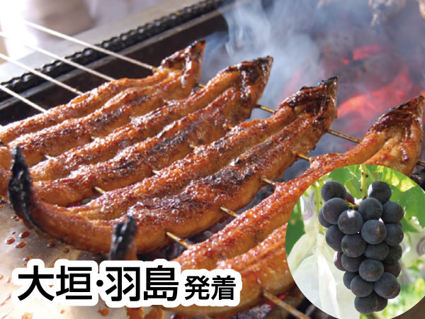 三河うなぎの兼光と巨峰狩り(26)