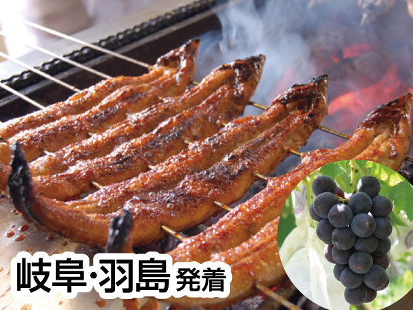 三河うなぎの兼光と巨峰狩り(26)