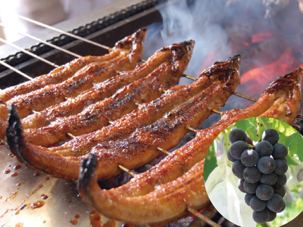 三河うなぎの兼光と巨峰狩り(26)
