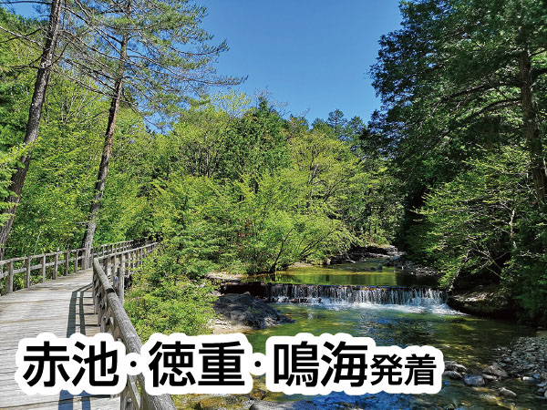 【8880円】赤沢自然休養林(2026)