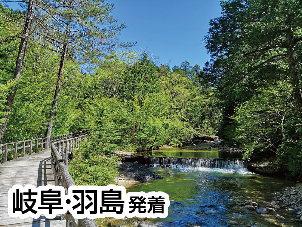 【8880円】赤沢自然休養林(2026)