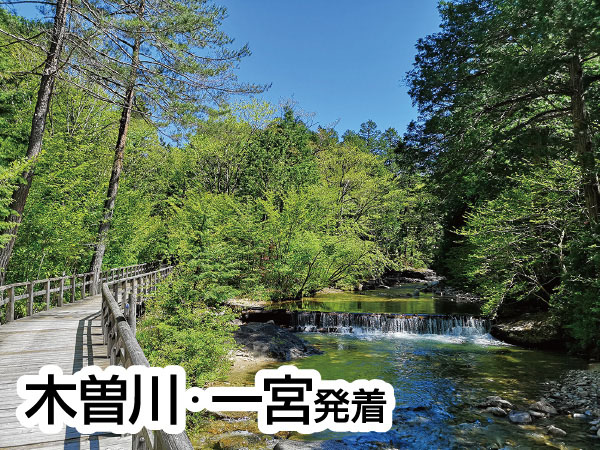 【8880円】赤沢自然休養林(2026)