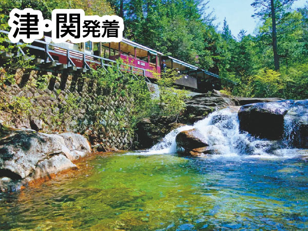赤沢自然休養林(2026)
