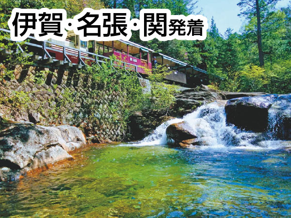 赤沢自然休養林(2026)