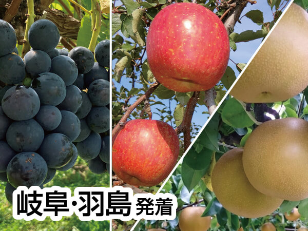 南信州ざくざく ぶどう・りんご・梨(2026)