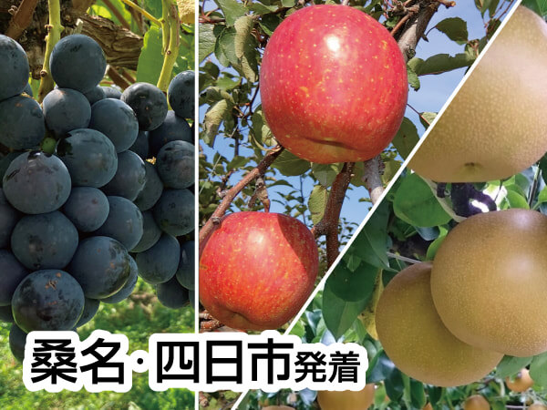 南信州ざくざく ぶどう・りんご・梨(2026)