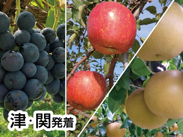 南信州ざくざく ぶどう・りんご・梨(2026)