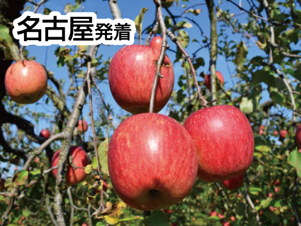 南信州松茸づくしとりんご狩り(2026)