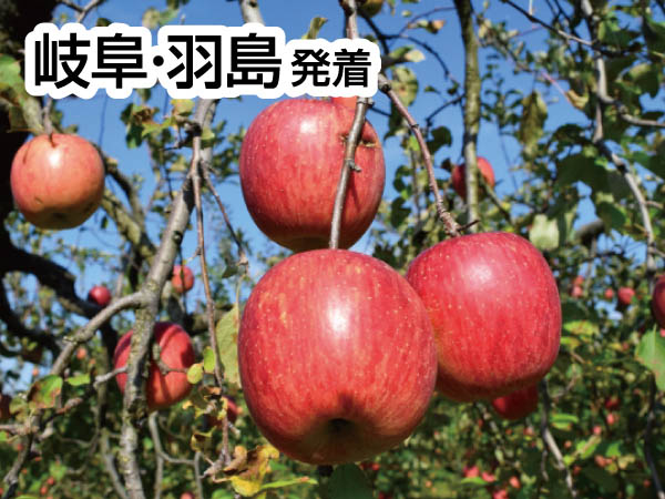 南信州松茸づくしとりんご狩り(2026)