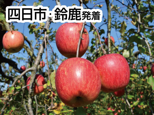 南信州松茸づくしとりんご狩り(2026)