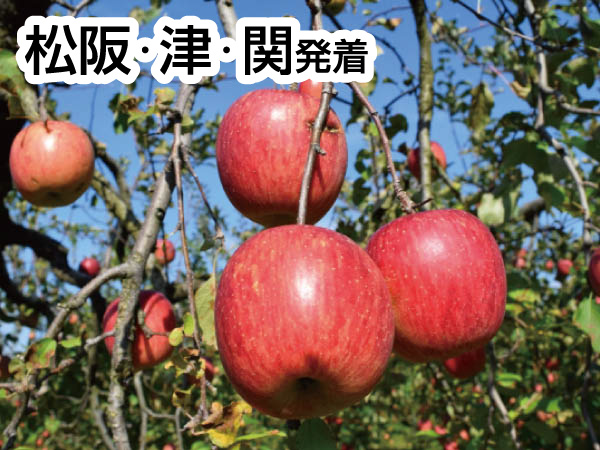 南信州松茸づくしとりんご狩り(2026)