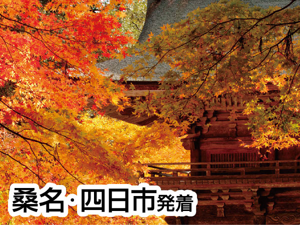 湯元すぎ嶋 山里料理(2026)