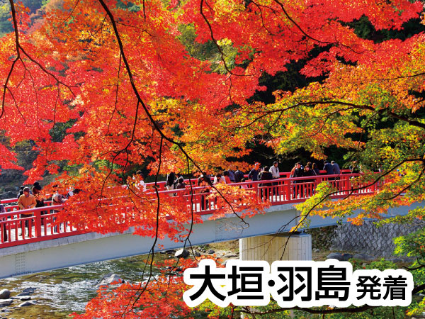 香嵐渓もみじと小原四季さくら(2026)
