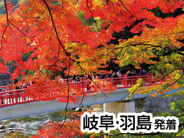 香嵐渓もみじと小原四季さくら(2026)