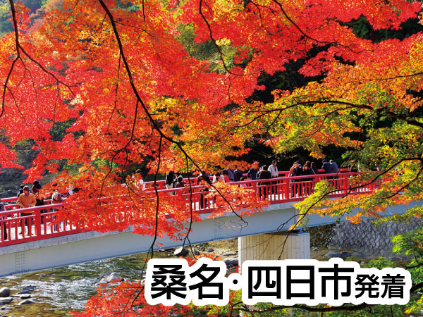 香嵐渓もみじと小原四季さくら(2026)
