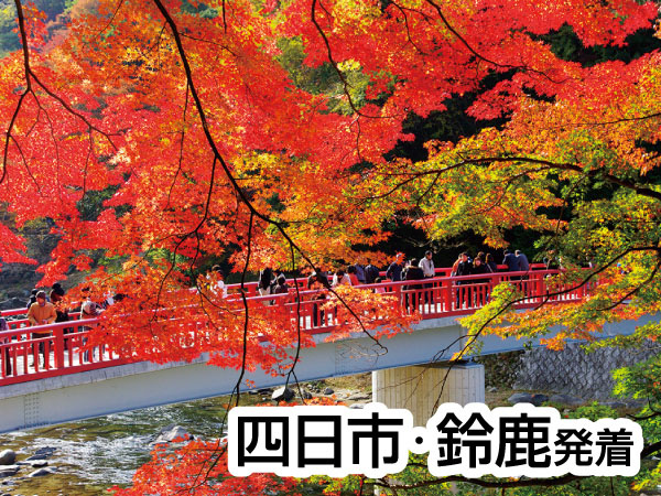 香嵐渓もみじと小原四季さくら(2026)