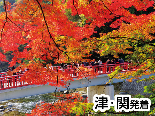 香嵐渓もみじと小原四季さくら(2026)