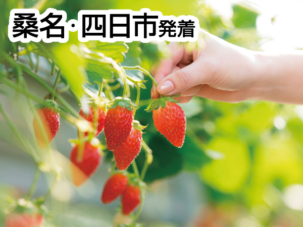 三河いちご狩りと赤いお土産(2026)