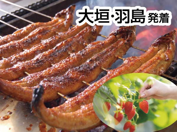 三河うなぎの兼光といちご狩り(2027)