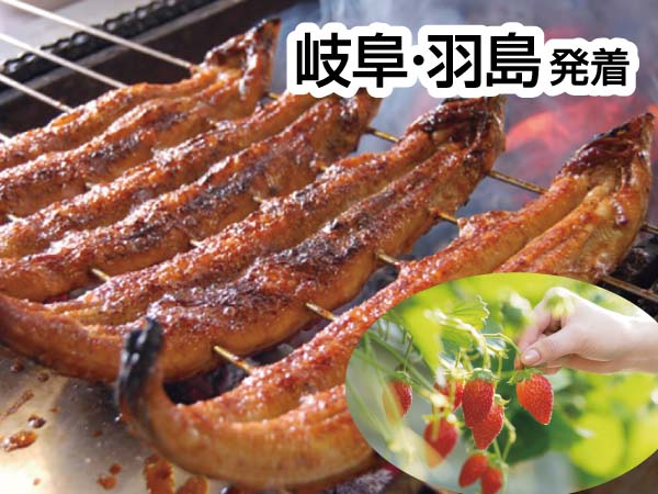 三河うなぎの兼光といちご狩り(2027)