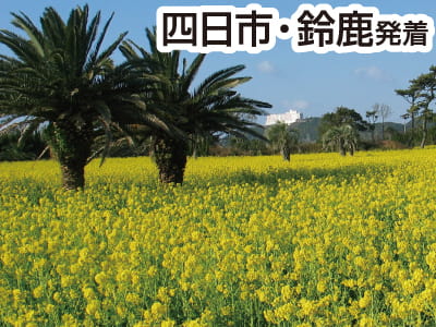 伊良湖いちご狩りと菜の花まつり（2021冬）