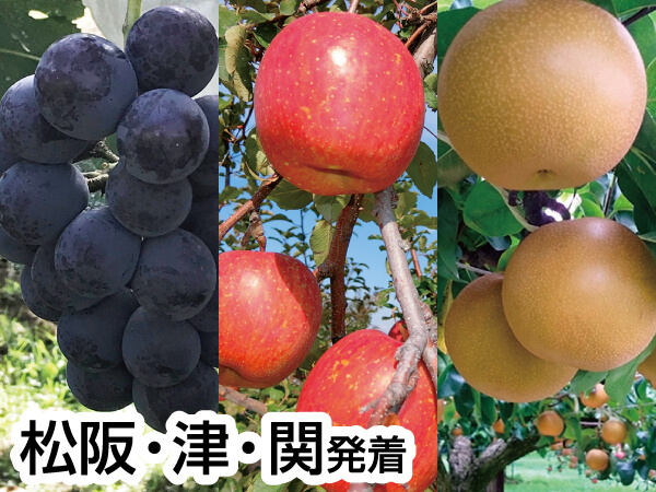 南信州ざくざく(2023)