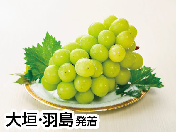三河巨峰&梨W狩り(2023)