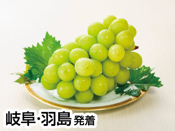 三河巨峰&梨W狩り(2023)