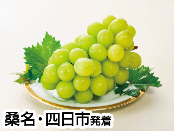三河巨峰&梨W狩り(2023)