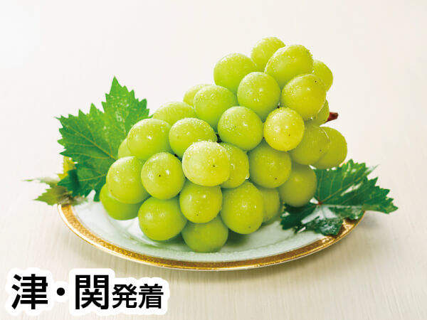 三河巨峰&梨W狩り(2023)