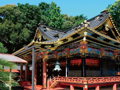 清水みなとクルーズ・久能山東照宮(2023)