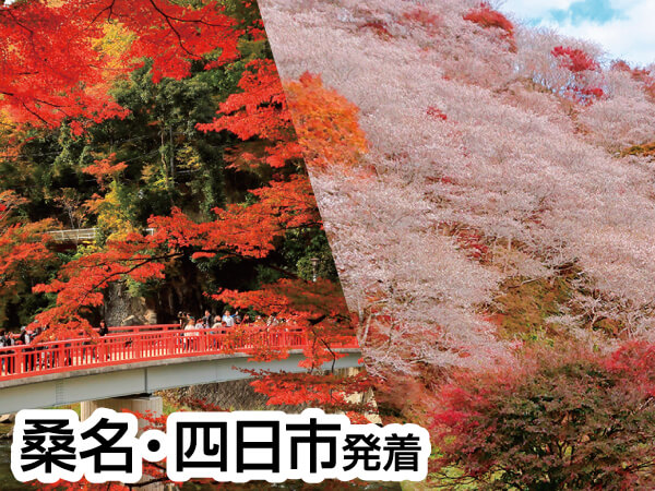 香嵐渓もみじと桜と奥三河会席(2023)