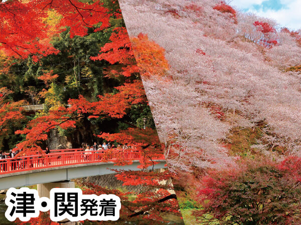香嵐渓もみじと桜と奥三河会席(2023)