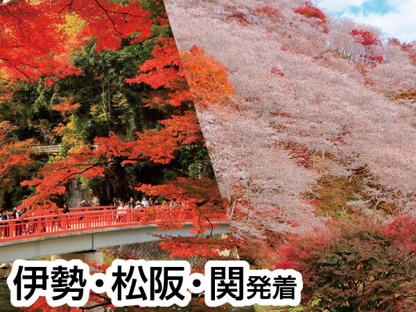 香嵐渓もみじと桜と奥三河会席(2023)