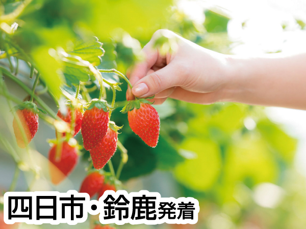 蒲郡いちご狩り&のんほいパーク(2024)