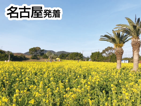 渥美半島菜の花畑&いちご狩りバス(2024)